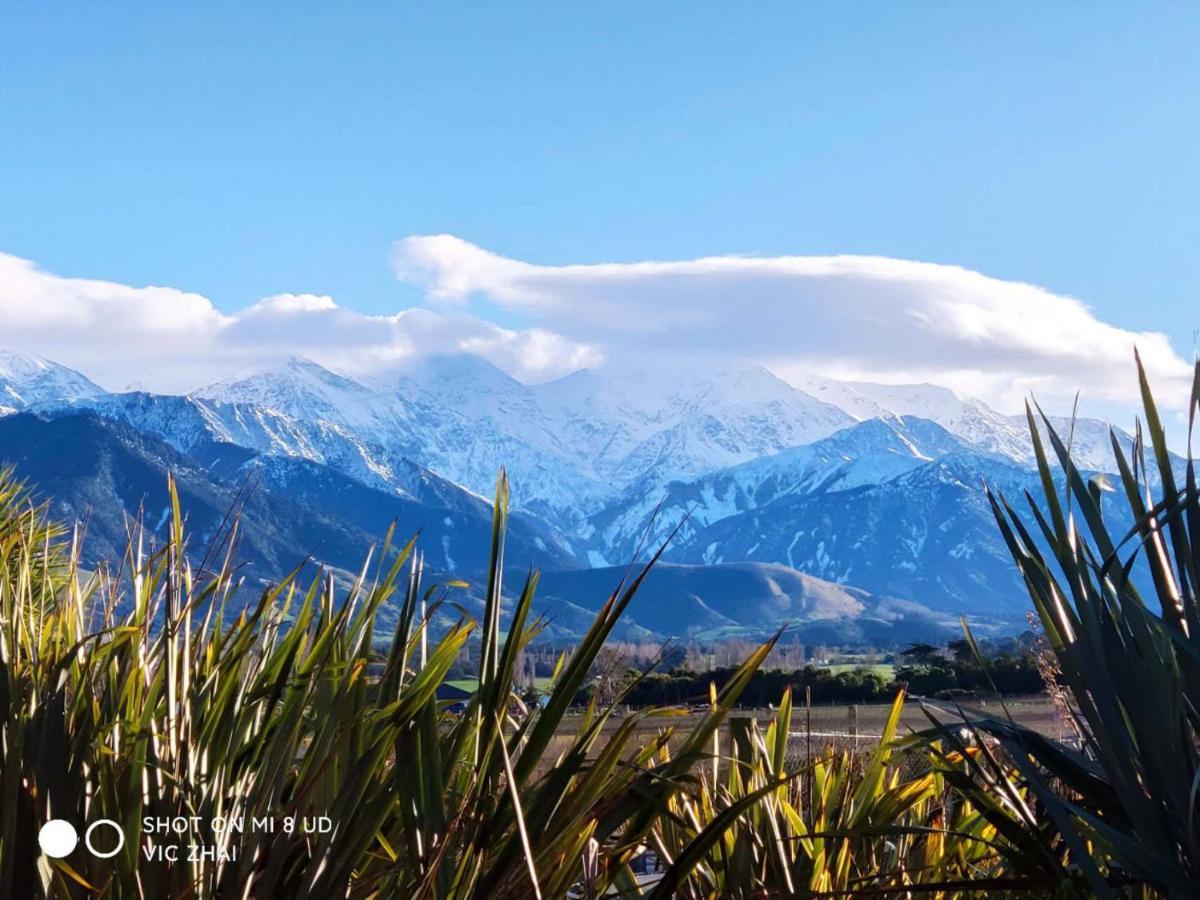 Waikoura Springs Bed & Breakfast Kaikoura Exterior foto